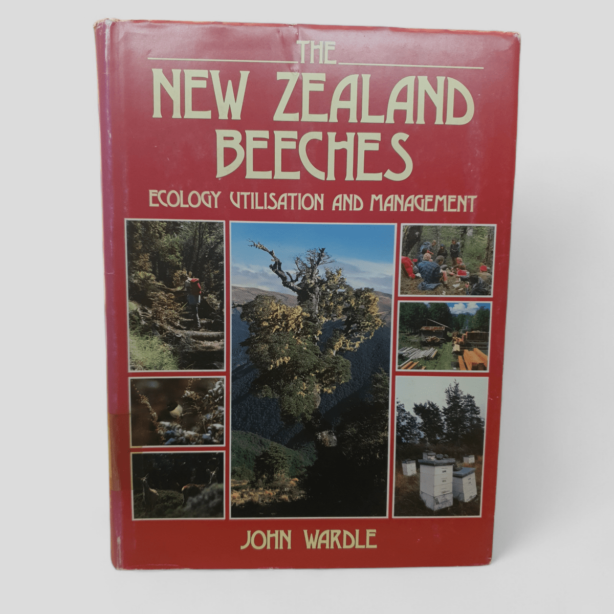 The New Zealand Beeches: Ecology, Utilisation and Management by John Wardle - Books Worth Keeping