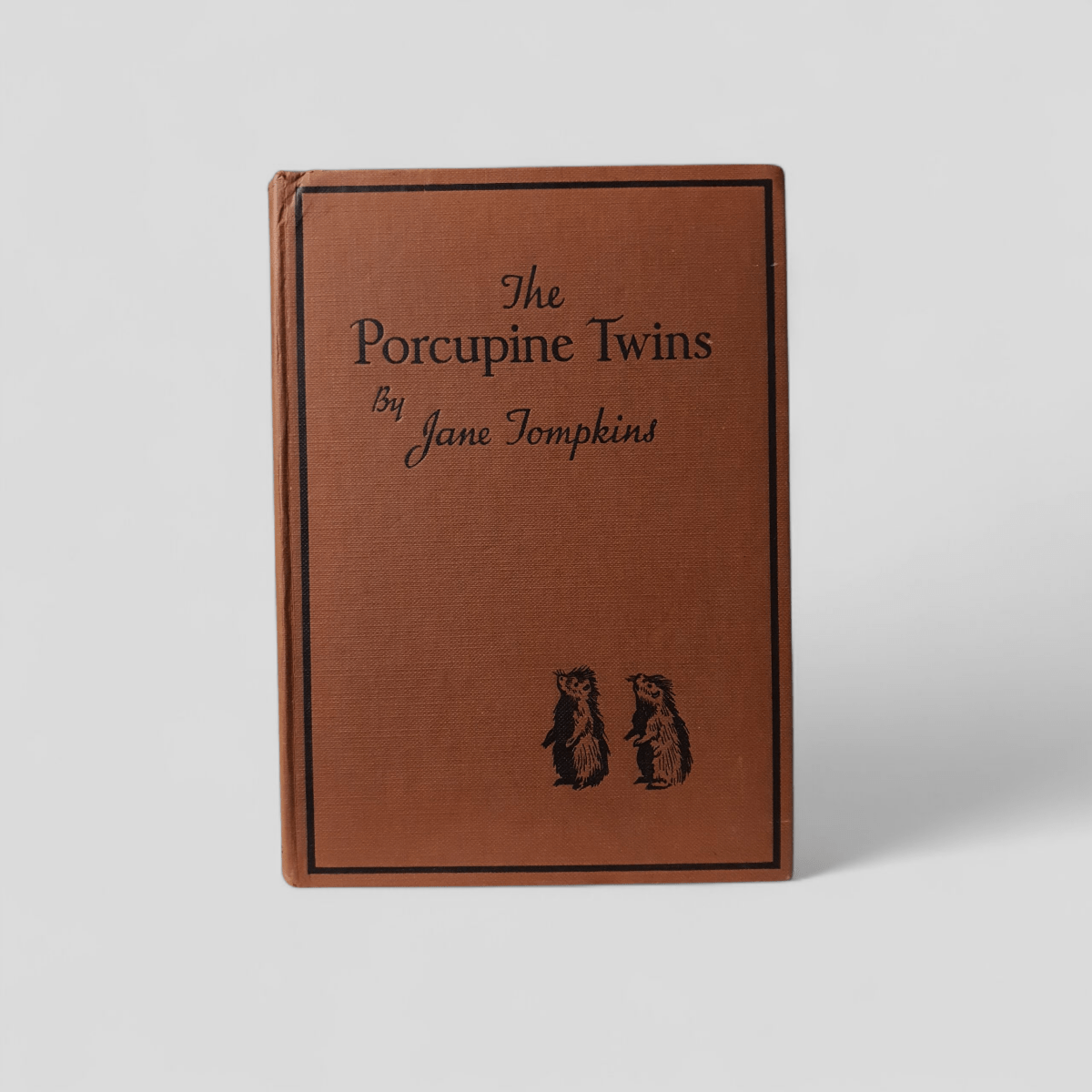 The Porcupine Twins by Jane Tompkins - Books Worth Keeping