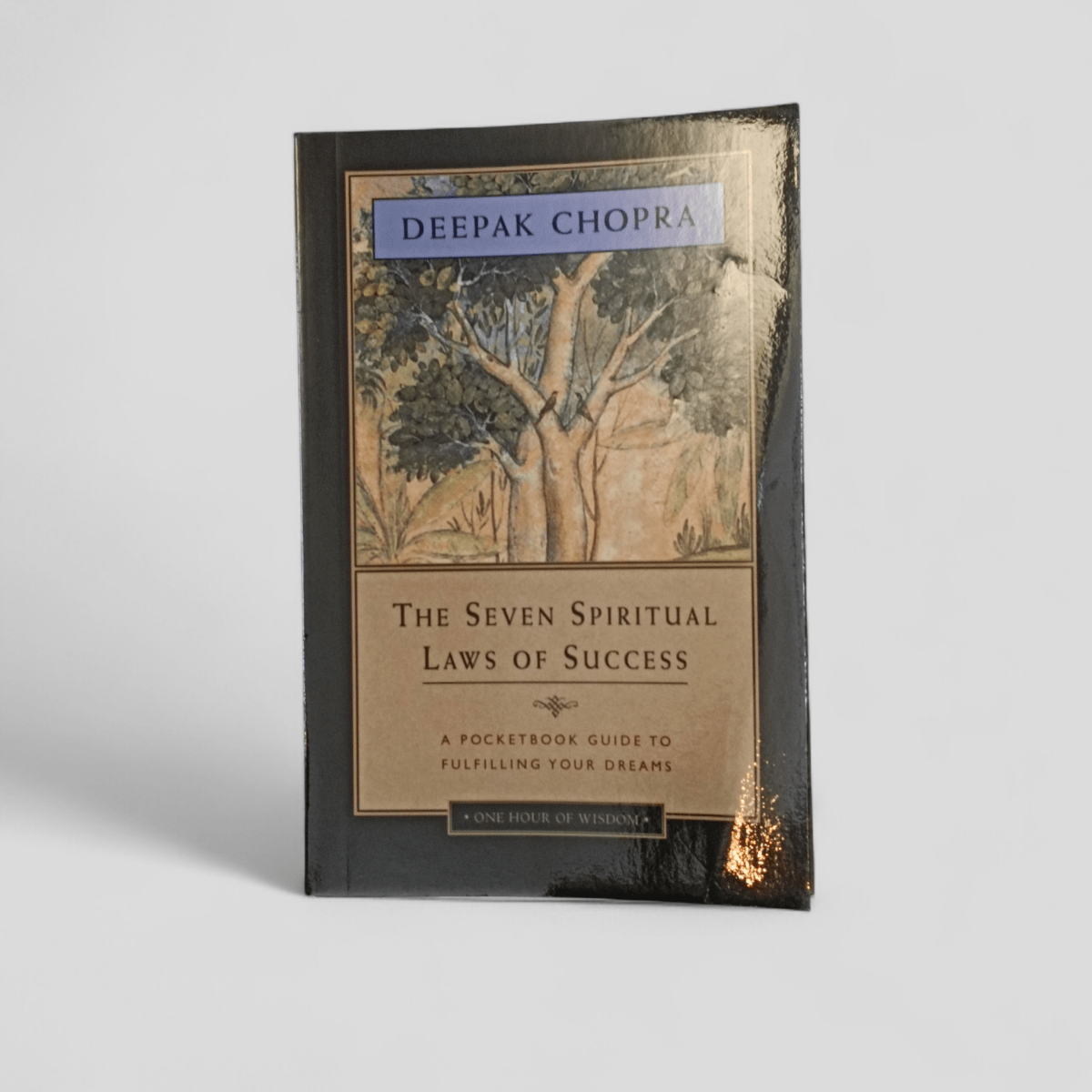The Seven Spiritual Laws of Success by Deepak Chopra - Books Worth Keeping