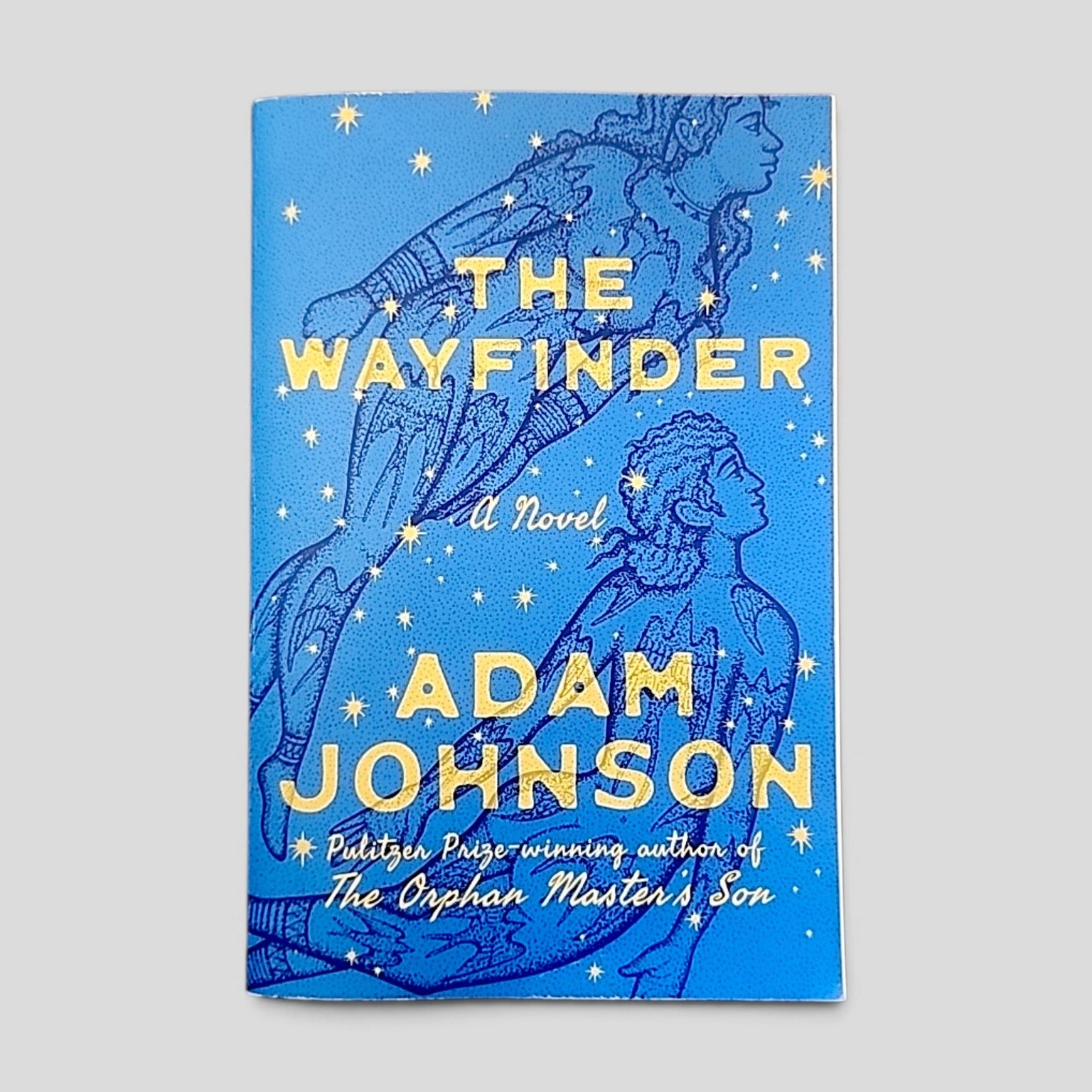 The Wayfinder by Adam Johnson cover