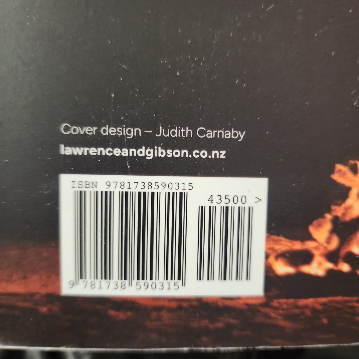 The Words for Her by Thomasin Sleigh back cover with ISBN