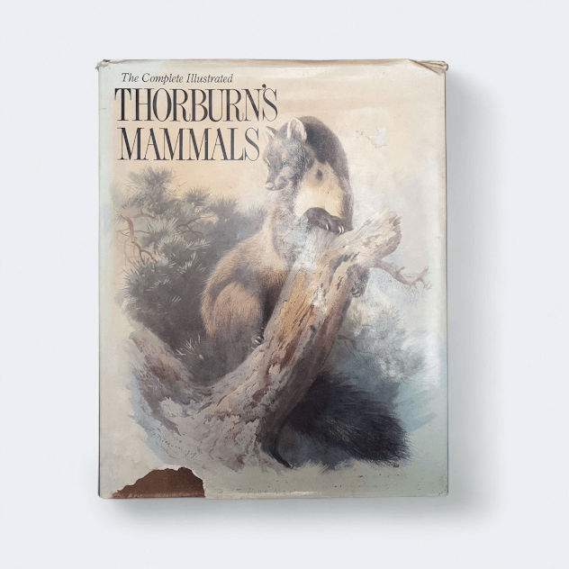 Thorburn's Mammals by Archibald Thorburn - Books Worth Keeping