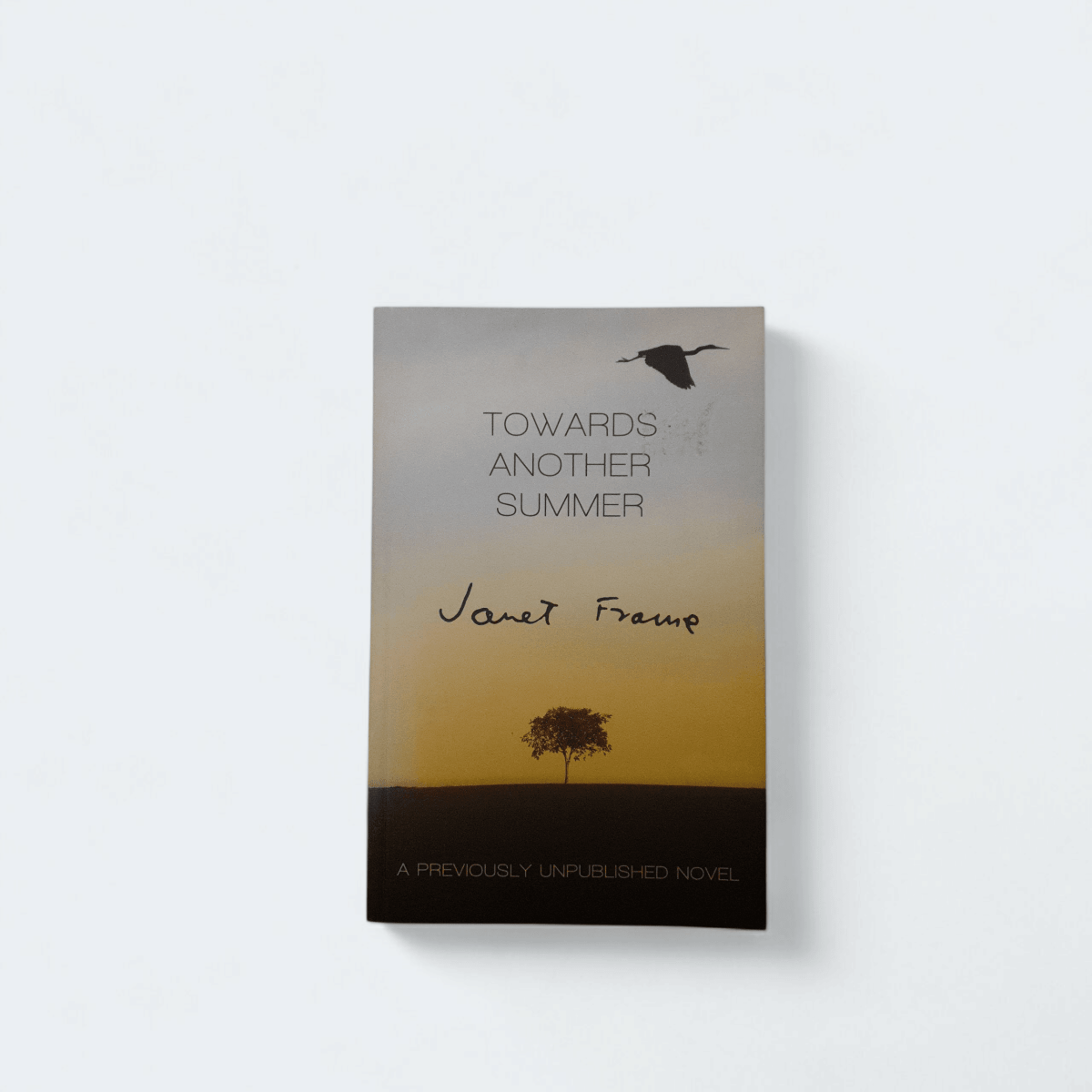 Towards Another Summer by Janet Frame - Books Worth Keeping