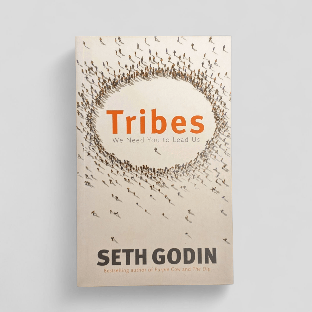 tribes by Seth Godin - Books Worth Keeping