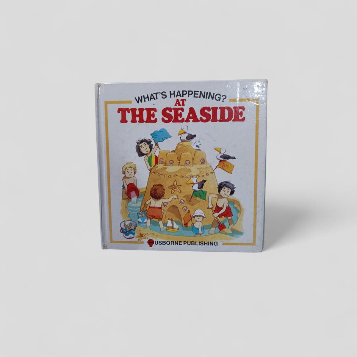 Usborne What's Happening at the Seaside by Heather Amery - Books Worth Keeping