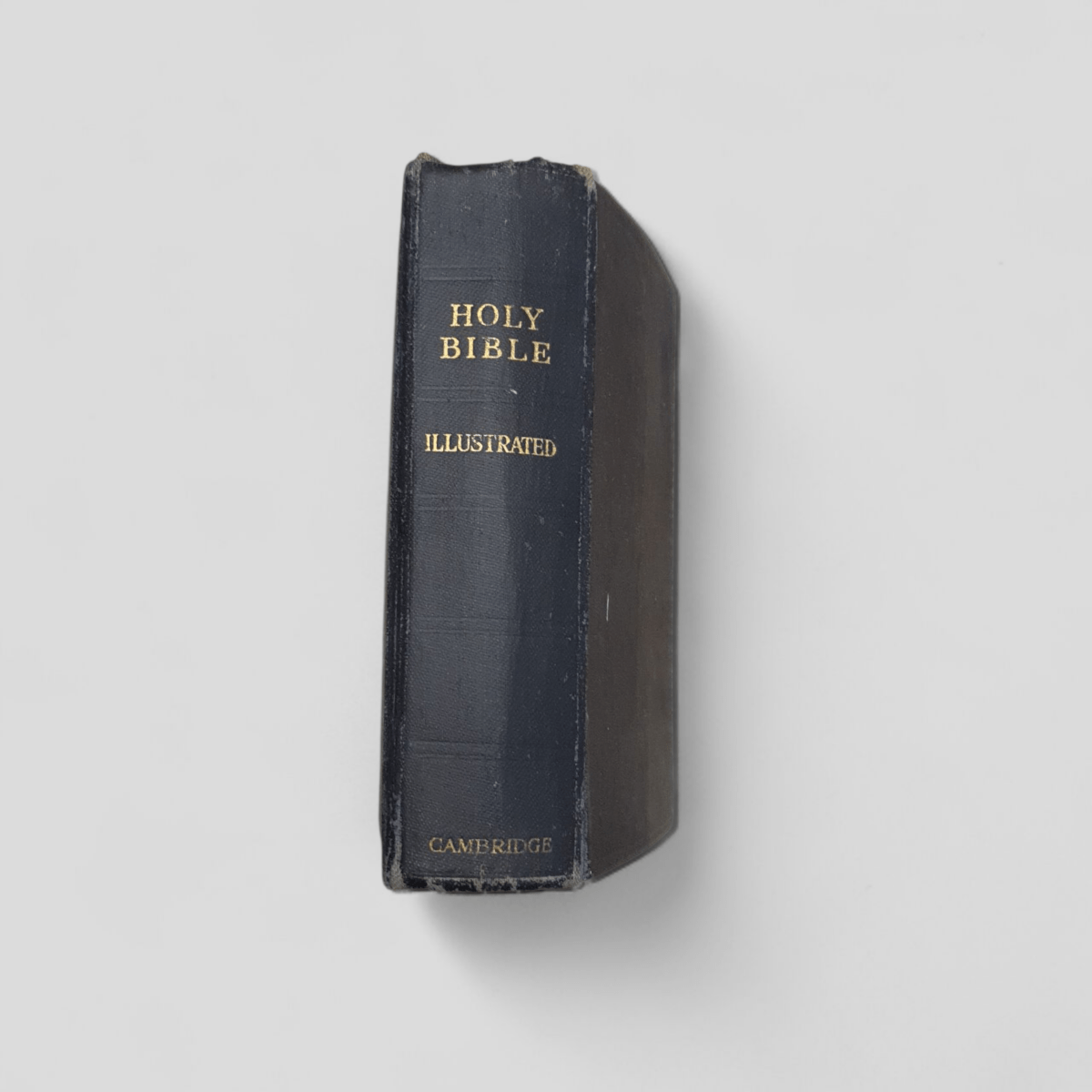 Vintage Holy Bible Illustrated (Cambridge Edition) - Books Worth Keeping