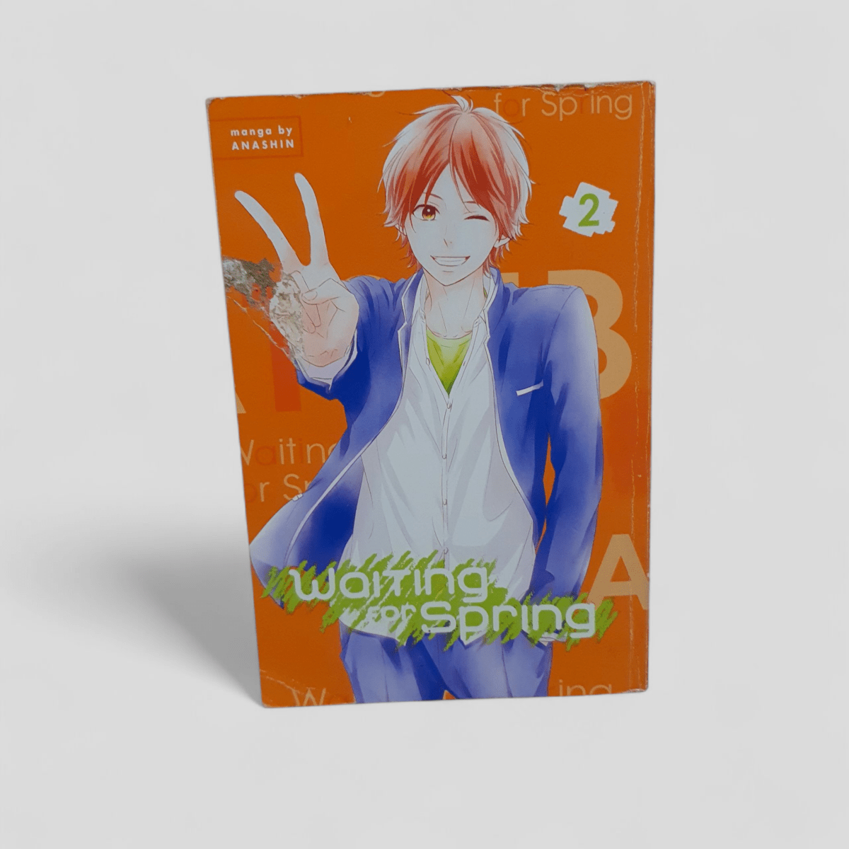 Waiting for Spring Vol. 2 by Anashin - Books Worth Keeping