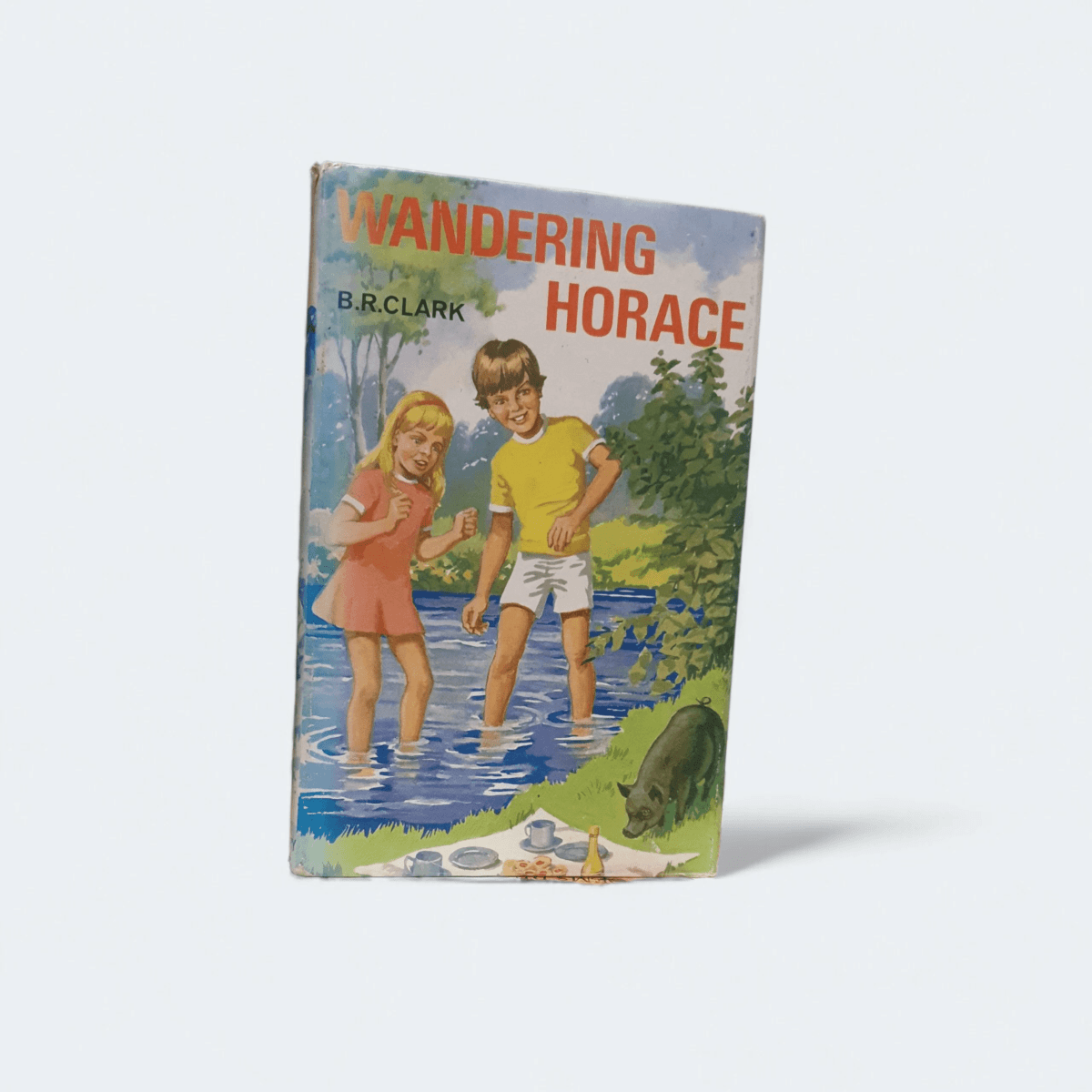 Wandering Horace – B.R. Clark - Books Worth Keeping