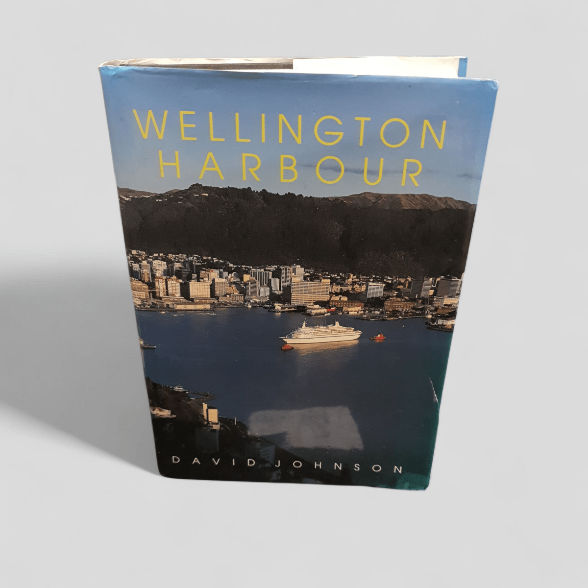 Wellington Harbour by David Johnson - Books Worth Keeping