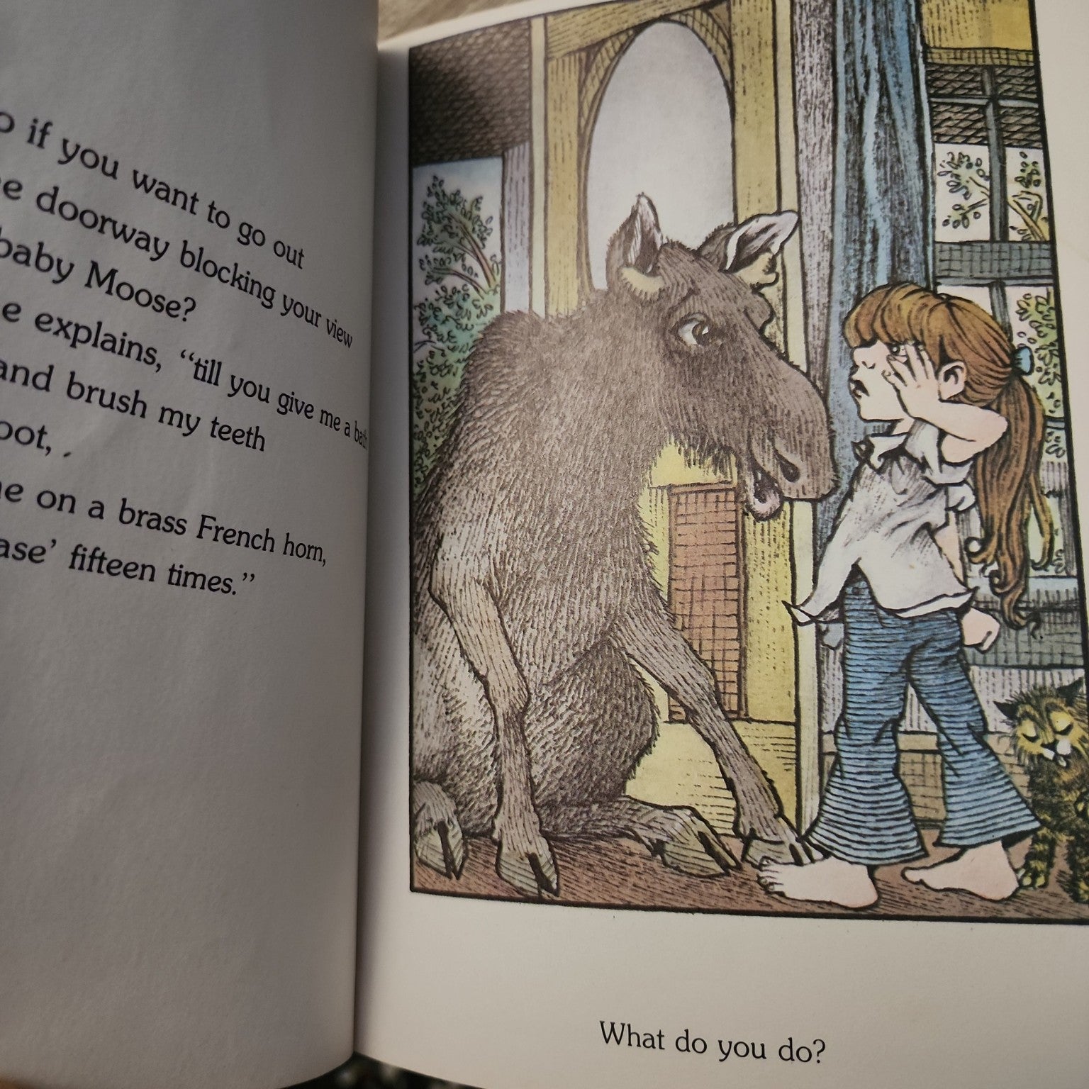 What Do You Do with a Kangaroo? interior illustration