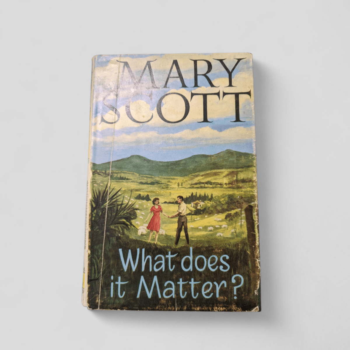 What Does it Matter? by Mary Scott First Edition - Books Worth Keeping