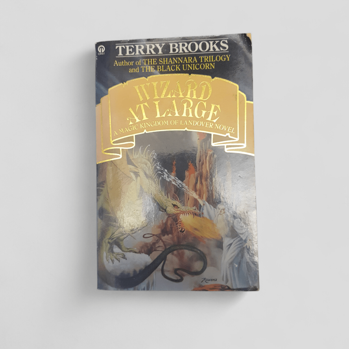 Wizard at Large by Terry Brooks - Books Worth Keeping