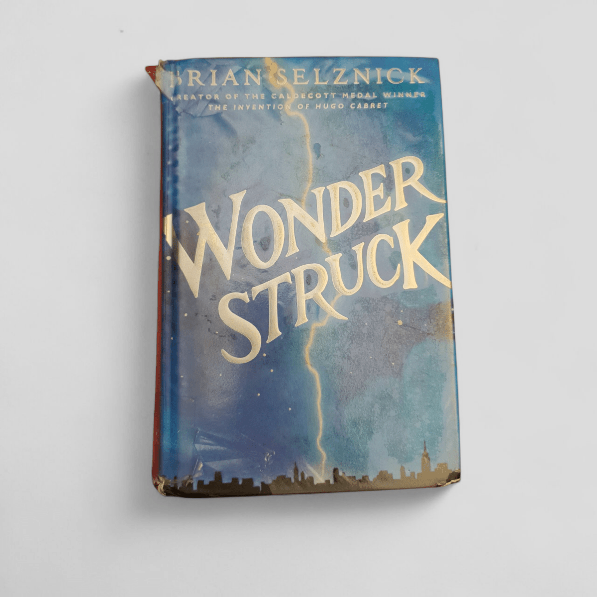 Wonderstruck by Brian Selznick - Books Worth Keeping