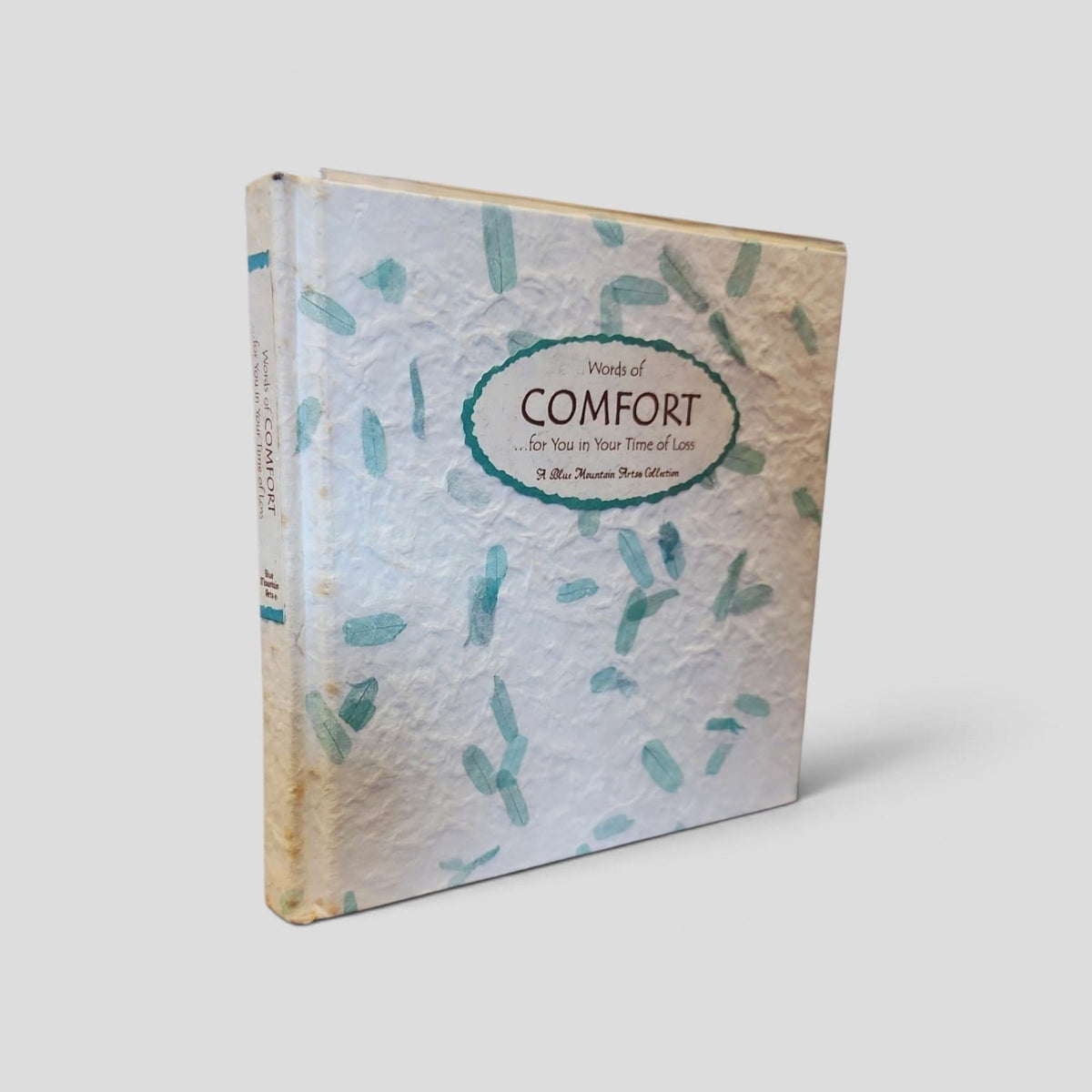 Words of Comfort for You in Your Time of Loss Blue Mountain Arts front cover