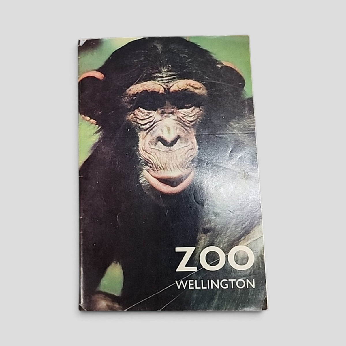 Vintage Zoo Wellington guidebook with chimpanzee cover